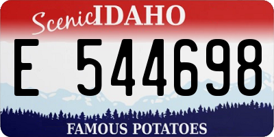 ID license plate E544698