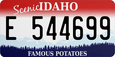 ID license plate E544699
