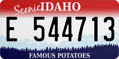 ID license plate E544713