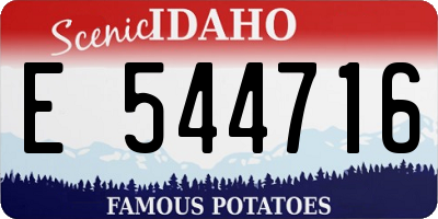 ID license plate E544716