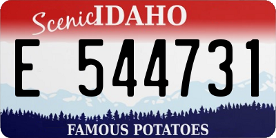 ID license plate E544731