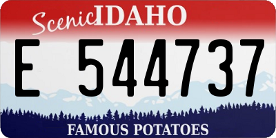 ID license plate E544737