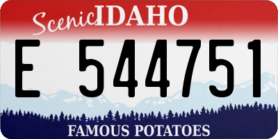 ID license plate E544751