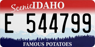 ID license plate E544799