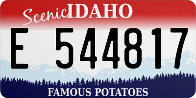 ID license plate E544817