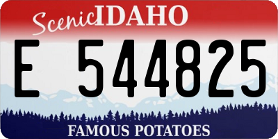 ID license plate E544825