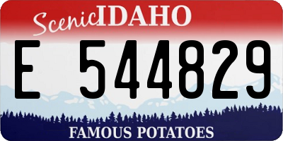 ID license plate E544829