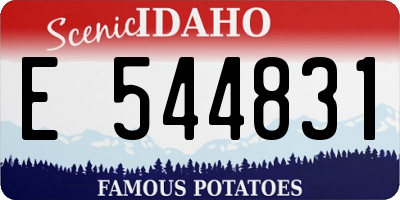 ID license plate E544831