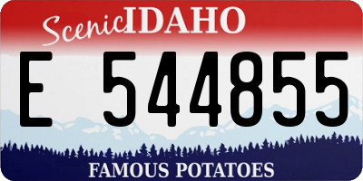 ID license plate E544855