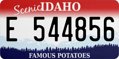 ID license plate E544856