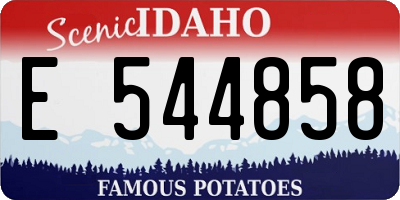 ID license plate E544858