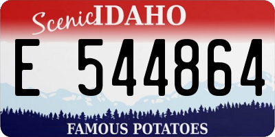 ID license plate E544864
