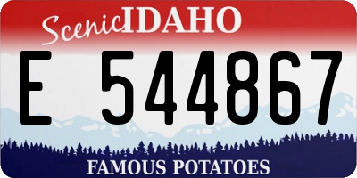 ID license plate E544867