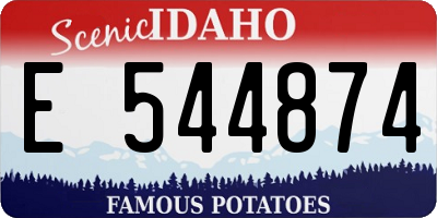ID license plate E544874