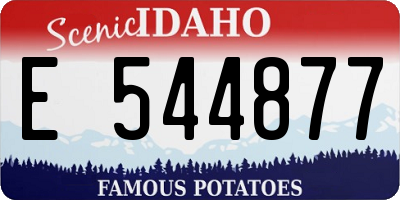 ID license plate E544877