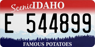 ID license plate E544899