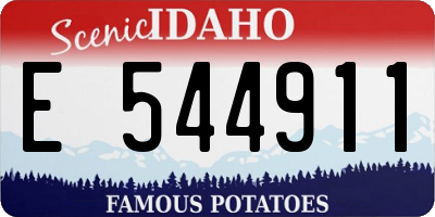 ID license plate E544911