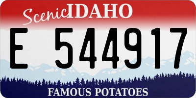 ID license plate E544917