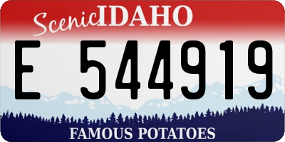ID license plate E544919