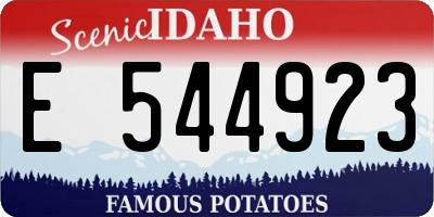 ID license plate E544923