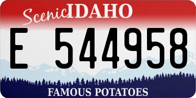 ID license plate E544958