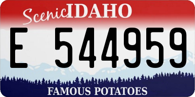 ID license plate E544959