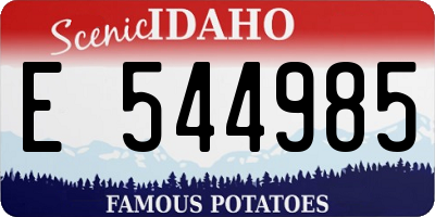 ID license plate E544985
