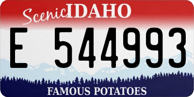 ID license plate E544993