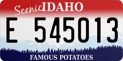 ID license plate E545013