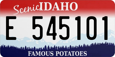 ID license plate E545101