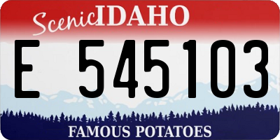ID license plate E545103