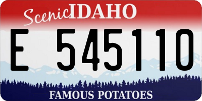 ID license plate E545110