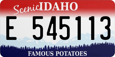 ID license plate E545113