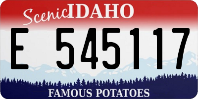 ID license plate E545117