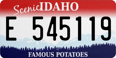 ID license plate E545119
