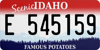 ID license plate E545159