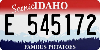 ID license plate E545172