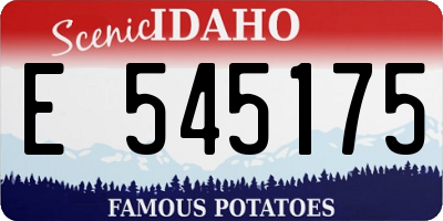 ID license plate E545175
