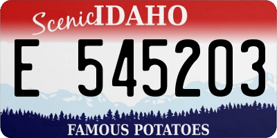 ID license plate E545203
