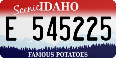 ID license plate E545225