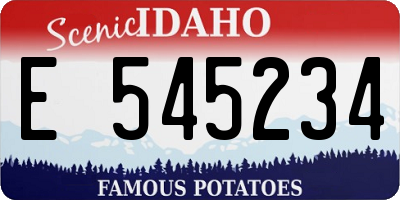 ID license plate E545234