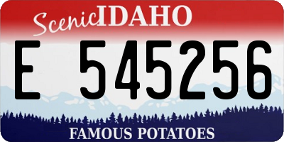 ID license plate E545256