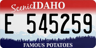 ID license plate E545259