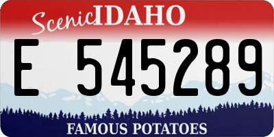 ID license plate E545289