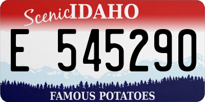 ID license plate E545290