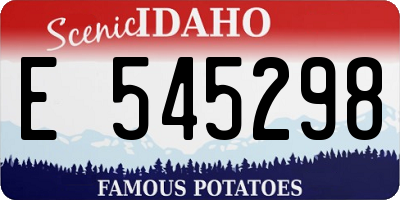 ID license plate E545298