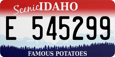 ID license plate E545299