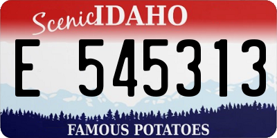 ID license plate E545313