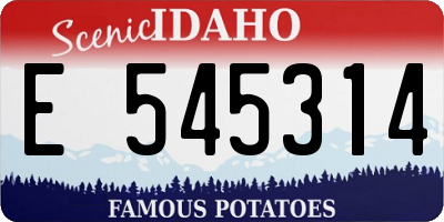 ID license plate E545314