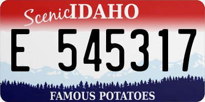 ID license plate E545317